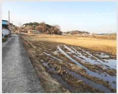  2024Ÿ60815 泲   긮 297      ()