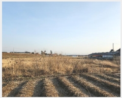  2024Ÿ60815 泲   긮 297      ()