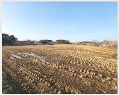  2024Ÿ60815 泲   긮 297      ()