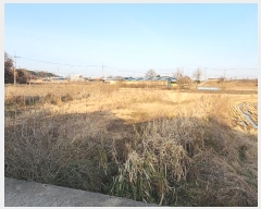  2024Ÿ60815 泲   긮 297      ()