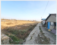  2024Ÿ60815 泲   긮 297      ()