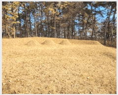  2024Ÿ60976 泲  ۾ ︮ 137-2      (Ӿ)