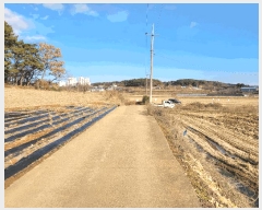  2024Ÿ60976 泲  ۾ ︮ 137-2      (Ӿ)