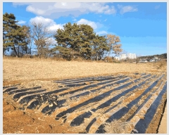  2024Ÿ60976 泲  ۾ ︮ 137-2      (Ӿ)