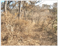  2024Ÿ60976 泲  ۾ ︮ 137-2      (Ӿ)