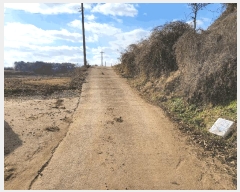  2024Ÿ60976 泲  ۾ ︮ 137-2      (Ӿ)