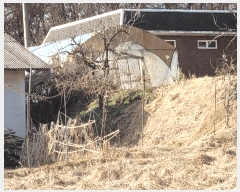  2024Ÿ60976 泲  ۾ ︮ 137-2      (Ӿ)