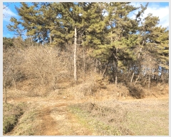  2024Ÿ60976 泲  ۾ ︮ 137-2      (Ӿ)