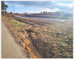  2024Ÿ61078 泲   ʴ븮 158      (1)