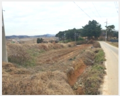  2024Ÿ61078 泲   ʴ븮 158      (1)