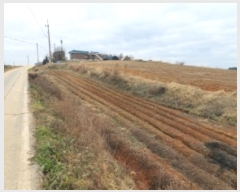  2024Ÿ61078 泲   ʴ븮 158      (1)