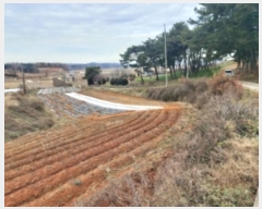  2024Ÿ61078 泲   ʴ븮 158      (1)