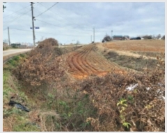  2024Ÿ61078 泲   ʴ븮 158      (1)