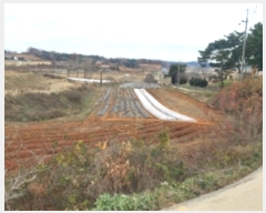  2024Ÿ61078 泲   ʴ븮 158      (1)