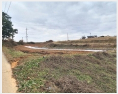  2024Ÿ61078 泲   ʴ븮 158      (1)