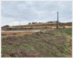  2024Ÿ61078 泲   ʴ븮 158      (1)