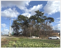  2024Ÿ61139 泲  μ  577-5      (Ӿ)