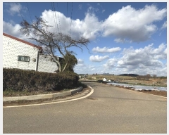  2024Ÿ61139 泲  μ  577-5      (Ӿ)