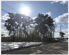  2024Ÿ61139 泲  μ  577-5      (Ӿ)