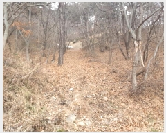  2024Ÿ��61238  �Ӿ߰��