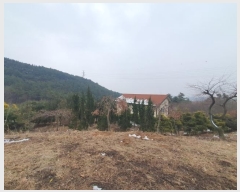  2024Ÿ��61238  �Ӿ߰��