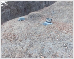  2024Ÿ��61238  �Ӿ߰��