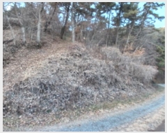  2024Ÿ��61238  �Ӿ߰��