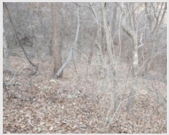  2024Ÿ��61238  �Ӿ߰��