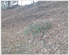  2024Ÿ��61238  �Ӿ߰��