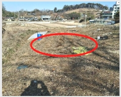  2024Ÿ61832 泲  ۻ  15-1      (1)