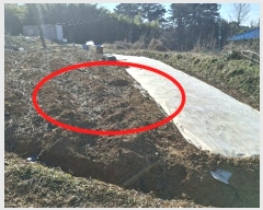  2024Ÿ61832 泲  ۻ  15-1      (1)