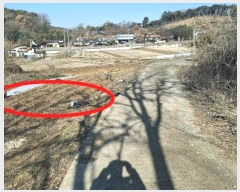  2024Ÿ61832 泲  ۻ  15-1      (1)