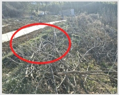  2024Ÿ61832 泲  ۻ  15-1      (1)