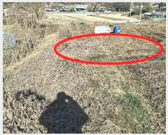  2024Ÿ61832 泲  ۻ  15-1      (1)