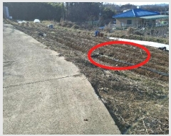  2024Ÿ61832 泲  ۻ  15-1      (1)