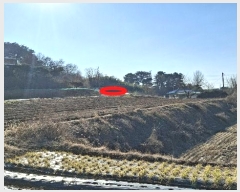  2024Ÿ61832 泲  ۻ  15-1      (1)