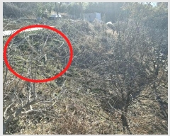  2024Ÿ61832 泲  ۻ  15-1      (1)