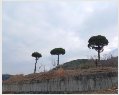  2024Ÿ��62064  �Ӿ߰��