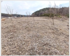  2024Ÿ��62064  �Ӿ߰��