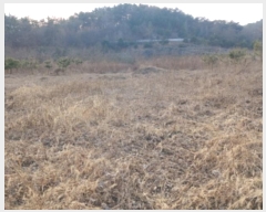  2024Ÿ��62064  �Ӿ߰��