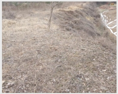  2024Ÿ��62064  �Ӿ߰��