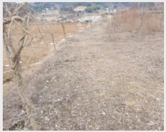  2024Ÿ��62064  �Ӿ߰��