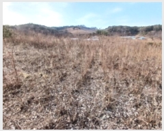  2024Ÿ��62064  �Ӿ߰��