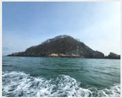  2024Ÿ��158  �Ӿ߰��