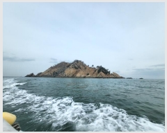  2024Ÿ��158  �Ӿ߰��