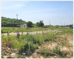  2024Ÿ��2031 �泲 ������ �۾��� �ݰ 36-13      ����(��)���