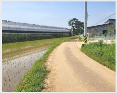  2024Ÿ��2031 �泲 ������ �۾��� �ݰ 36-13      ����(��)���