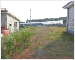  2024Ÿ��2321 �泲 �¾ȱ� �¾��� ���� 465-37      ���ð��