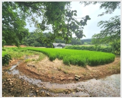  2024Ÿ2697 泲   õ 276      ()