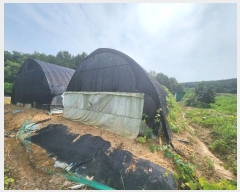  2024Ÿ2697 泲   õ 276      ()